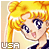  Tsukino Usagi (Sailormoon): 